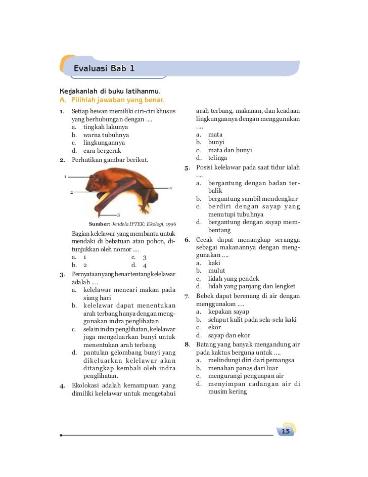 Soal Ipa Kelas 6 Semester 2 - Homecare24