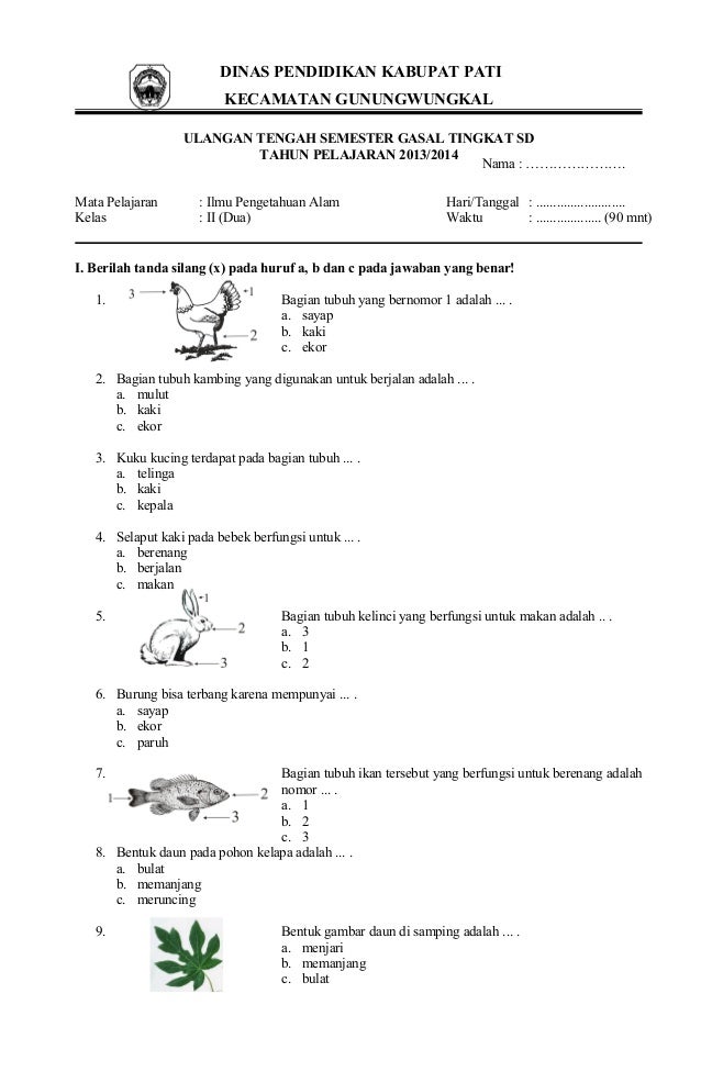 Soal ipa kelas 2