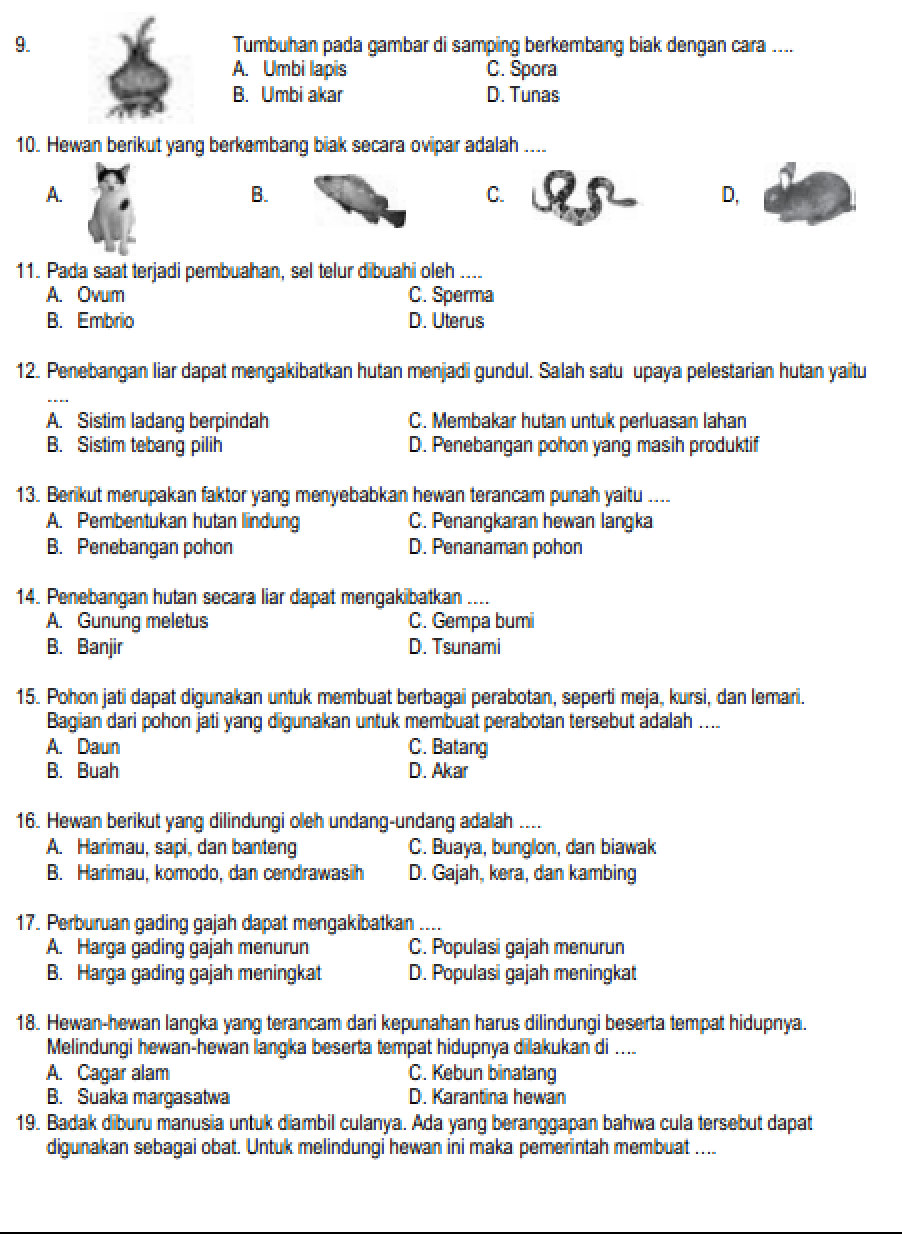 Soal ipa kelas 6 Dan Kunci Jawaban 2019