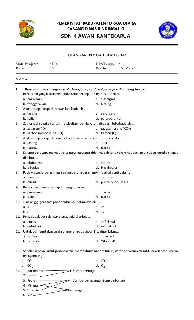 Contoh Soal Ipa Kelas 4 - Homecare24