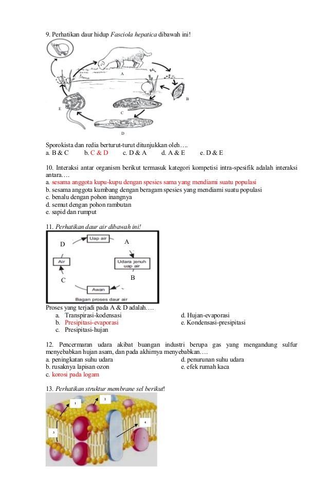 Contoh Soal Ipa Biologi Kelas 9 Beserta Jawabannya