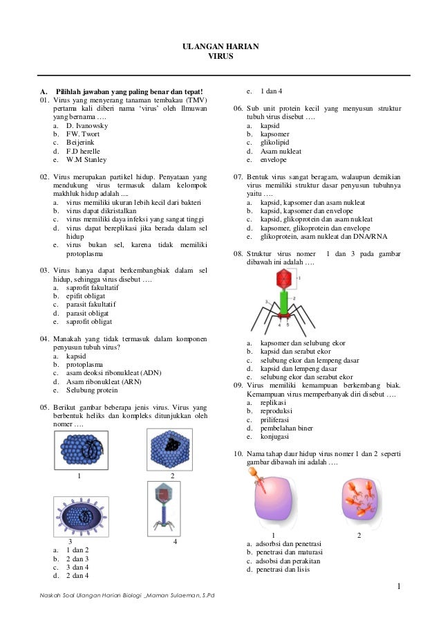 Soal Biologi Kelas X Bab Viru – Beinyu.com