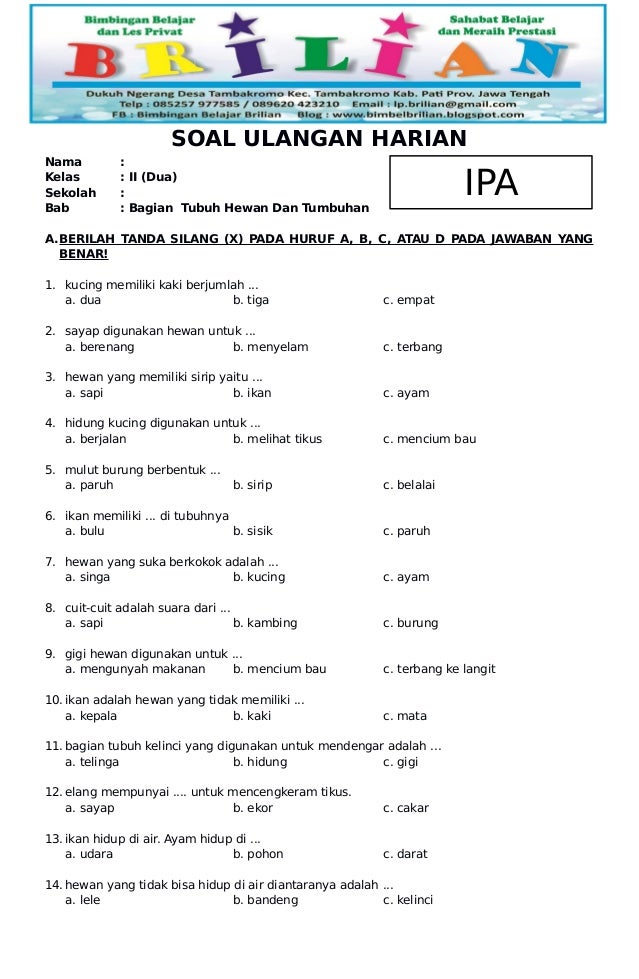 Contoh Soal Sumatif Bahasa Indonesia Kelas 1 Sdmi Kurikulum Merdeka