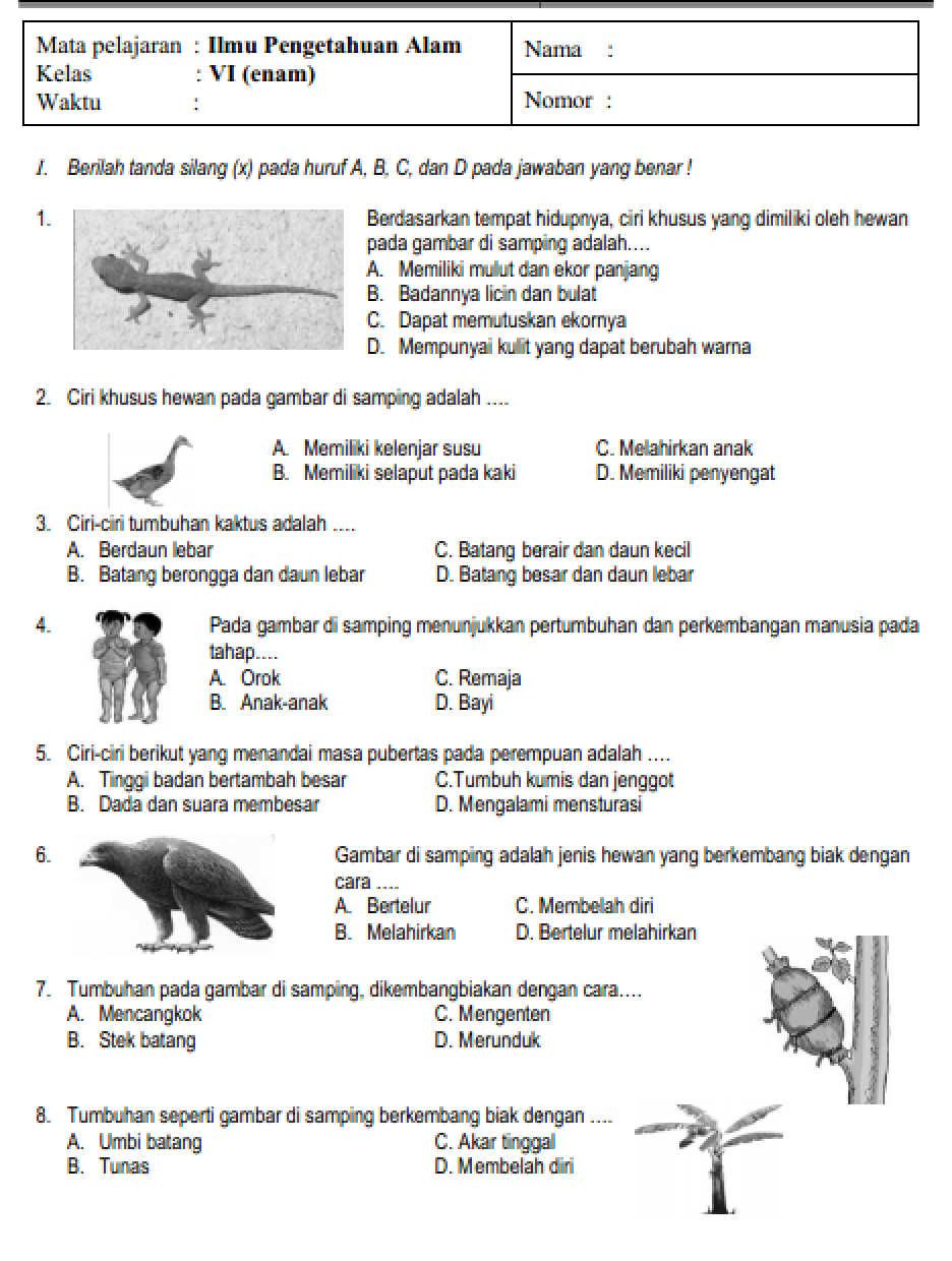 Soal Uas Semester 1 Kelas 6 Mapel Pkn Pdf - Riset